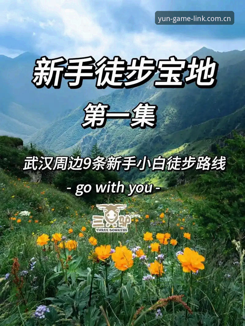 云体育直播体验 新手小白也能玩转:云体育直播平台使用心得与实战经验
